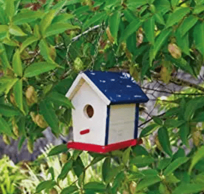 Paint A Birdhouse Kit