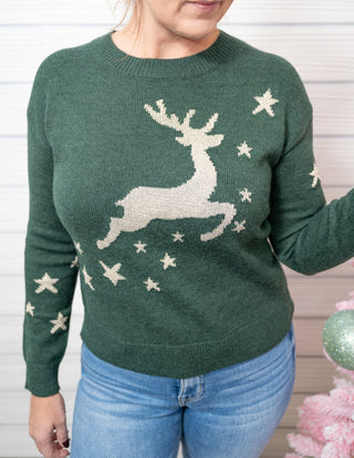 Reindeer And Star Holiday Sweater