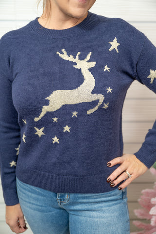 Reindeer And Star Holiday Sweater