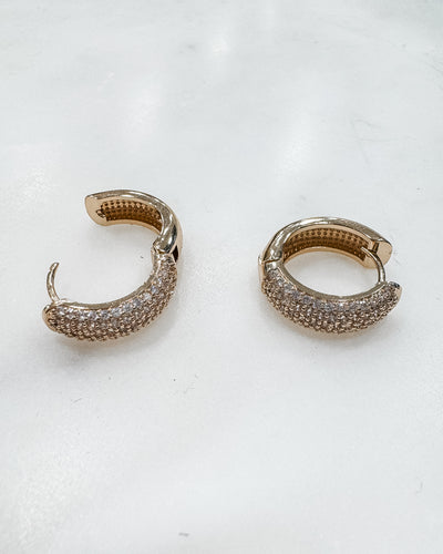 Treasured Studded Hoop Earrings