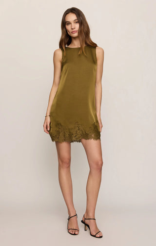 Z SUPPLY: Meadow Muse Lace Mini Dress