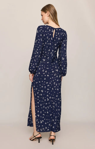 Z SUPPLY: Midnight Tansy Floral Midi Dress