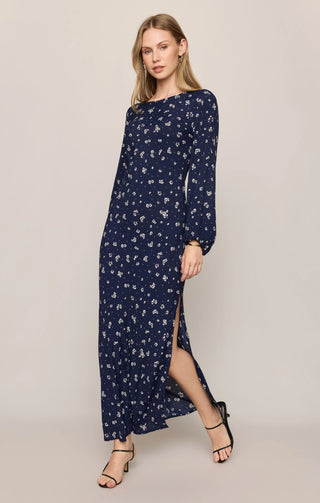 Z SUPPLY: Midnight Tansy Floral Midi Dress