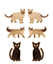 Beige/Black Cat