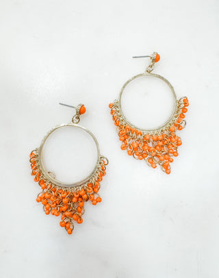 Citrus Lovers Delight Earrings - Bray and Em Boutique