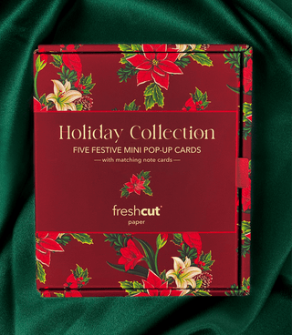 Holiday Favorites Boxed Set - Bray and Em Boutique