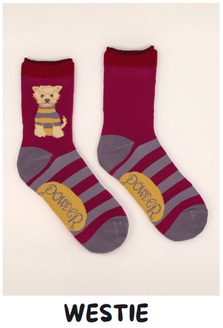 Ladies Bamboo Ankle Socks - Bray and Em Boutique