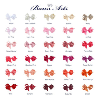 Medium Bow Clips - Bray and Em Boutique