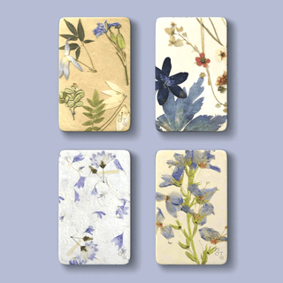 Motif Sugar Free Mints - Bray and Em Boutique