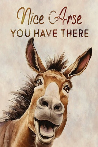 "Nice Arse You Have There" Wood Sign - Bray and Em Boutique