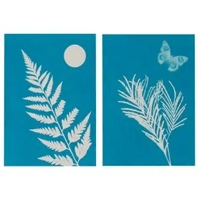 Outdoor Discovery Solar Print Activity - Bray and Em Boutique