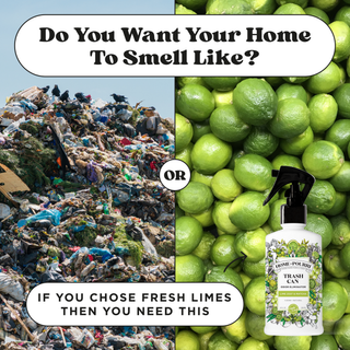 Poo~Pourri Lime Zest & Matcha Trash Spray - Bray and Em Boutique