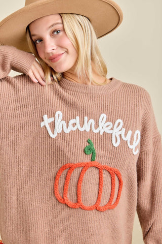 Pumpkin Praise Embroidered Sweater - Bray and Em Boutique
