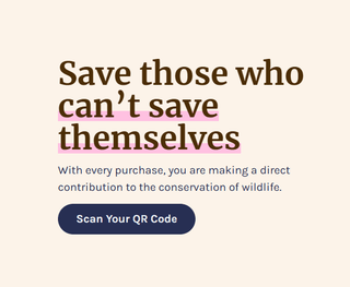 Simply Southern Turtle Tracking Bracelets - Bray and Em Boutique