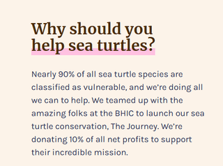 Simply Southern Turtle Tracking Bracelets - Bray and Em Boutique