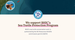 Simply Southern Turtle Tracking Bracelets - Bray and Em Boutique