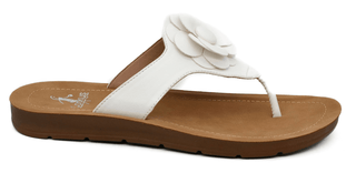 So Delish Sandals - Bray and Em Boutique