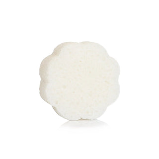 Spongelle Daisy Collection - Travel Size - Bray and Em Boutique