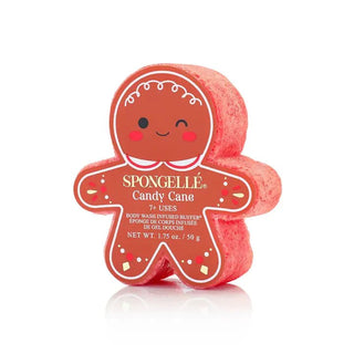 Spongelle Gingerbread Holiday Buffer - Bray and Em Boutique