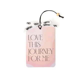 Stay In Your Lane Car Air Freshener - Bray and Em Boutique