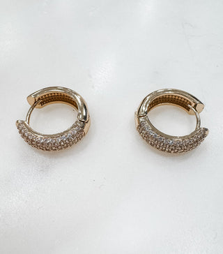 Treasured Studded Hoop Earrings - Bray and Em Boutique