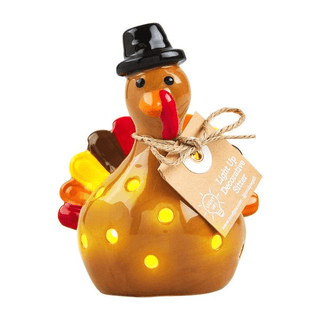 Turkey Light Up Sitter - Bray and Em Boutique