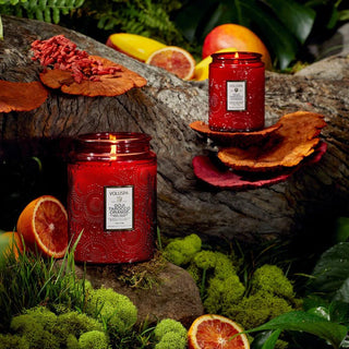 Voluspa - Goji Tarocco Orange - Bray and Em Boutique
