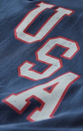 Z SUPPLY Americana Boyfriend Sweatshirt - Bray and Em Boutique