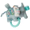 Taggies Rattle/Teethers