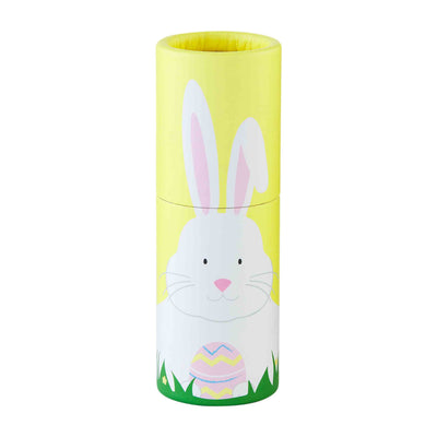 Bunny Colored Pencil Set