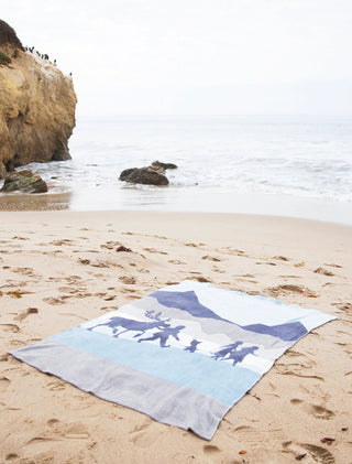 CozyChic® Frozen Disney Throw - Bray and Em Boutique