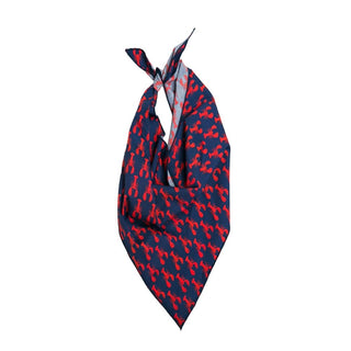 Doggie Bandanas - Bray and Em Boutique