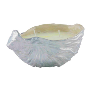 Oyster Shell Candle - Bray and Em Boutique