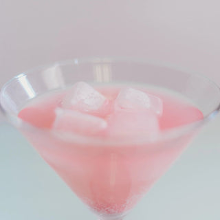 Reusable Ice Cubes - Bray and Em Boutique