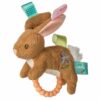 Taggies Rattle/Teethers - Bray and Em Boutique